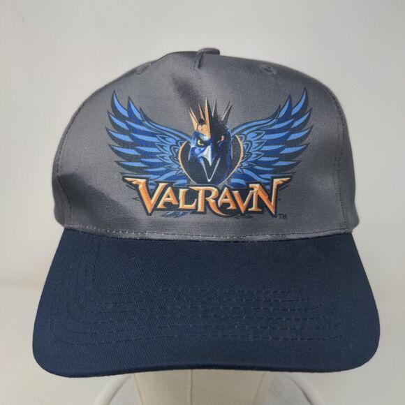 Bozkee Men's Strapback Hat Gray OSFM Cedar Point Valravn Rollercoaster Logo - Picture 2 of 8